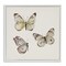 Stupell Industries Delicate Butterflies on Beige Framed Giclee, design by Patricia Pinto
